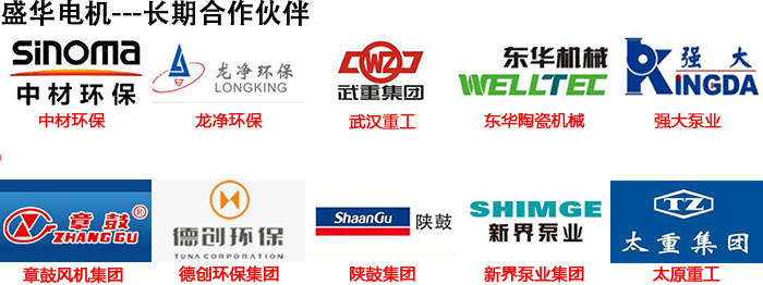 山東盛華電機生產(chǎn)廠家,電機保養(yǎng)