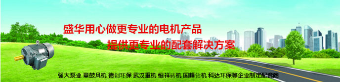 山東盛華電機生產(chǎn)廠家,陶瓷成型機專用電機,電機定制