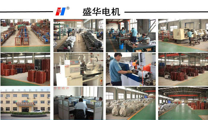山東盛華電機生產(chǎn)廠家,陶瓷成型機專用電機,電機定制