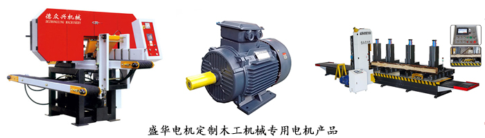 山東聊城電機生產(chǎn)廠家,木工機械設備專用電機,電機定制