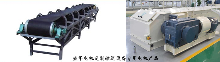 山東聊城盛華電機(jī)生產(chǎn)廠家,輸送設(shè)備專(zhuān)用電機(jī),電機(jī)定制