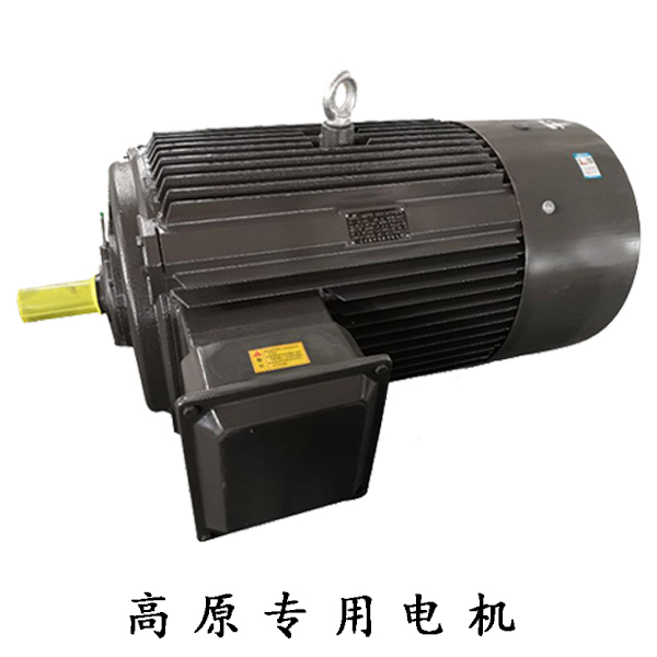 山東電機(jī)廠,高原電機(jī)廠,高原電機(jī),電動機(jī)