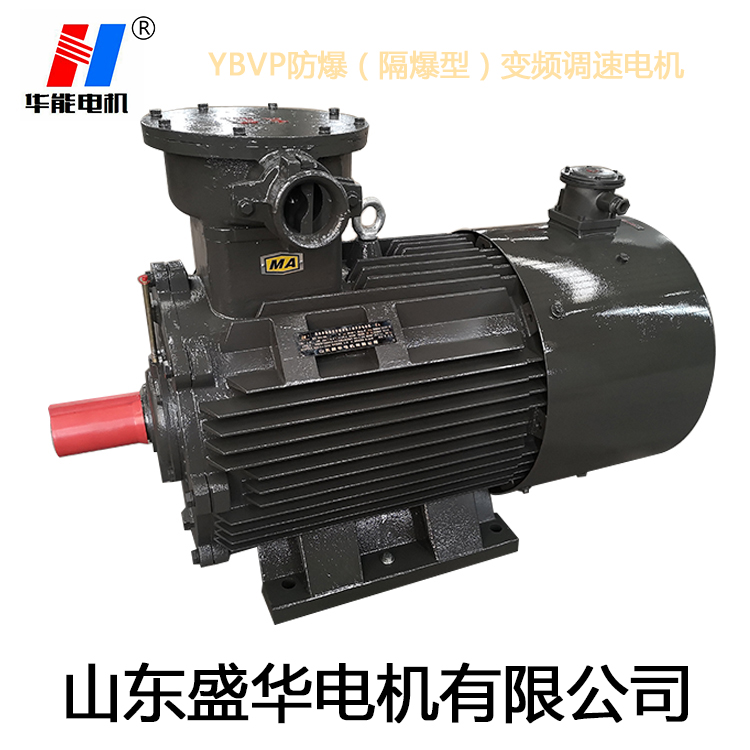 山東電機(jī)廠,盛華電機(jī),耐高溫電動(dòng)機(jī),三相異步電機(jī)