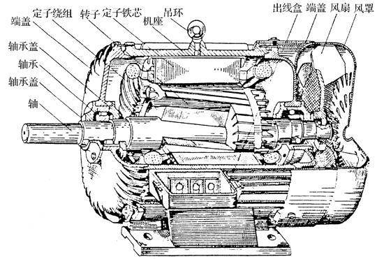 電機生產(chǎn)廠家-高效電機